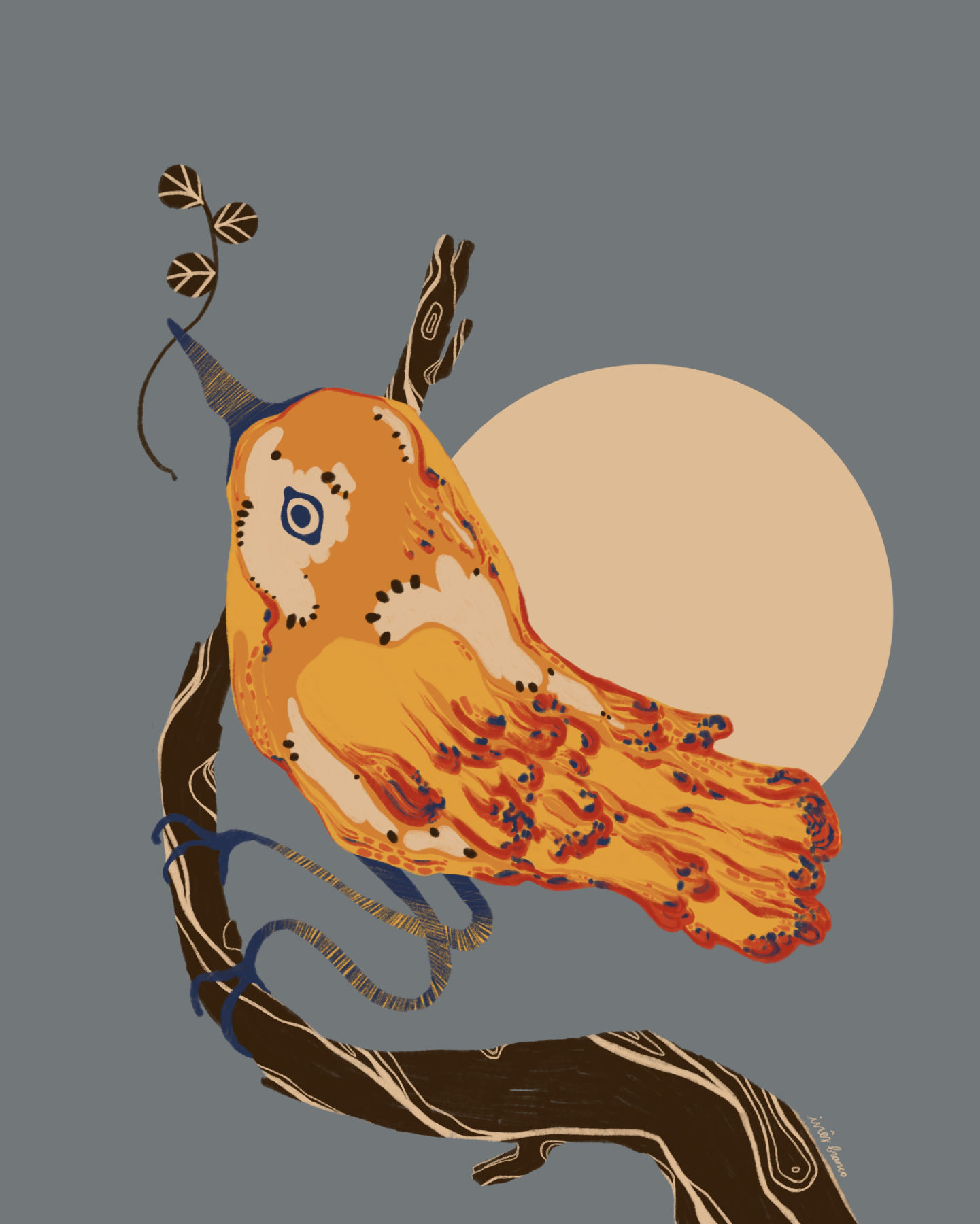 The Bird Stops and Listens